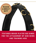 Shock Absorbing Neoprene Surcingle For Horse Training With Adjustable Fit Brass Plated Buckles And Dee Rings For Side Reins