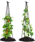 67 Inch Obelisk Garden Trellis For Cucumber And Climbing Plants Yard Ready Outdoor Plastic Coated Metal Support For Vines Tomatoes And Flowers Black Two Pack Set with plants
