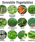 Assorted sowable vegetables including radish, carrots, spinach, cilantro, and more varieties for Three To Six Row Precision Planter For Garden Seeds 2 To 10mm With Adjustable Row Spacing Plant Spacing And Depth Easy To Use Manual Vegetable Seeder For Corn Leek Spinach And Carrots Five Row Capacity.