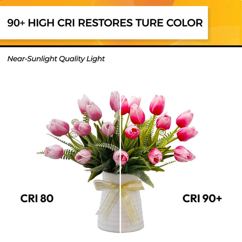 Comparison of flower colors under CRI 80 vs 90 Plus CRI LED Candelabra Bulbs E12 Dimmable 2700K Soft Warm White 4W 450LM Flame Tip