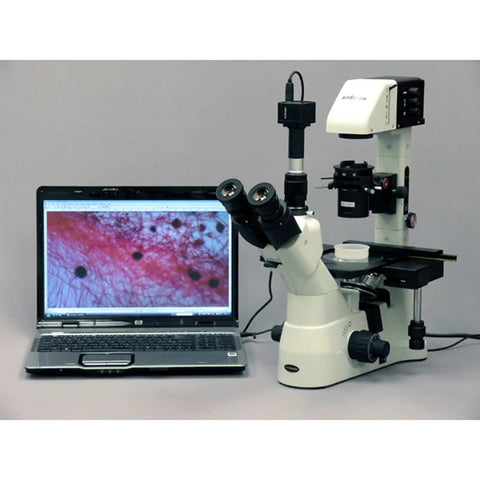 Inverted Trinocular Microscope With Long Working Distance And 40x-600x Magnification, WH10x Super Widefield Eyepieces Brightfield And Phase Contrast Objectives 30W Halogen Illumination, 0.3/0.5 NA Kohler Condenser, Mechanical Stage, 90-240V beside laptop display