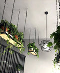 Industrial Wood And Iron Ceiling Hanging Shelf For Plants And Kitchen Storage Floating Guardrail Shelf with plants displayed.