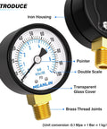 Well Pump Pressure Gauge 0 to 100 PSI, 2 Inch Dial Face, Lower Mount, Iron Housing, Transparent Glass Cover, Brass Joints