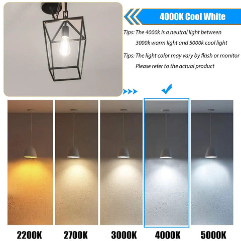 Brighten Up Your Space With LED Filament Bulbs, E26 Base, 4W Real Power, 450 Lumens, 4000K Cool White, Not Dimmable, comparison chart