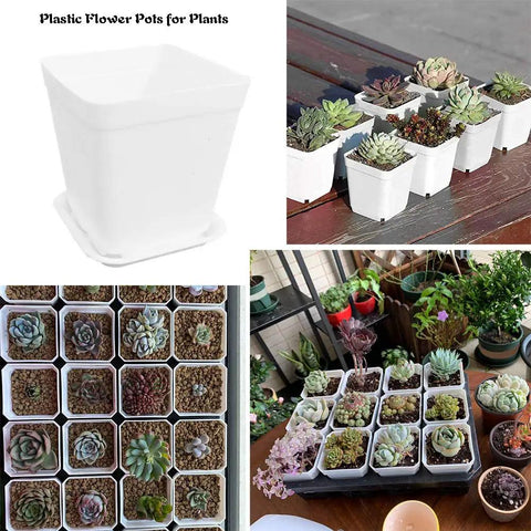 Set Of 24 White Square Plastic Plant Pots With Saucers 3 Inch Seedling Planters For Succulents And Flowers Drainage Holes Indoor Outdoor Garden Home Office Balcony Decor