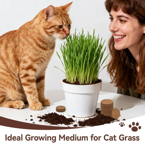 Woman and cat with potted cat grass using 55 Pack Compressed Coco Coir Pellets For Seed Starting And Indoor Plants 100 Percent Organic Coconut Coir With Three Times Water Retention And Superior Aeration Beginner Friendly Seed Starter Soil Pellets.