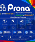 Infographic showcasing Prona brand history since 1985 and global presence in spray coating applications.