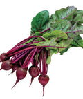 Detroit Dark Red Beet Seed Tape Medium Top With 45 Seeds Per Tape Easy Peasy To Sow Pre-Spaced Beets For Sweet Flesh Garden Harvest