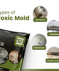 Mold Test Kit With Lab Fees Included No Surprises For Home Use Detects 20 Plus Mold Types And Pollen Easy To Follow Guide packaging