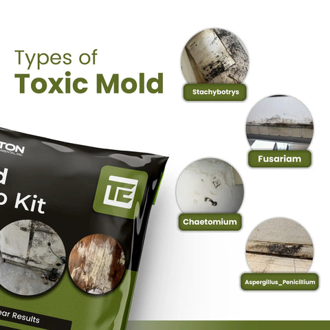 Mold Test Kit With Lab Fees Included No Surprises For Home Use Detects 20 Plus Mold Types And Pollen Easy To Follow Guide packaging