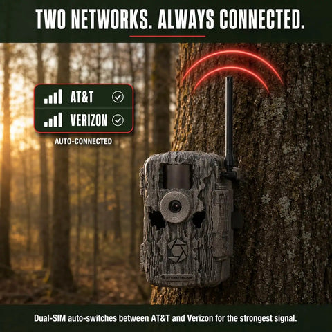 Cellular Trail Camera Bundle With Tree Mount Offering 36Mp Photos And 720P Video With A Hella Fast Trigger Speed Plus 80 Foot Night Vision For Serious Hunters Demanding Kickass App Controlled Game Viewing On LTE And Verizon Networks mounted on tree with network icons.