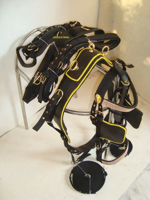 Black Synthetic Nylon Horse Driving Harness With Yellow Piping Diamond Chains On Browband And Noseband Curved Blinders