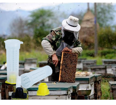 Beekeeper using Set Of 30 Queen Bee Roller Cages For Beekeeping Must Have Lightweight Plastic Rearing Cups Kit in an apiary