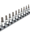 Three Eighths Inch Drive Tamper-Resistant Torx Bit Socket Set With Rail, 12-Piece TR10 Through TR60, S2 Steel Bits on rail