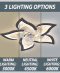 Low Profile Ceiling Fan With LED Light, Ultra Quiet Six-Speed Wind, Three Switchable Modes, Smart Timer, 25.6 Inch Black Finish showcasing three lighting options.