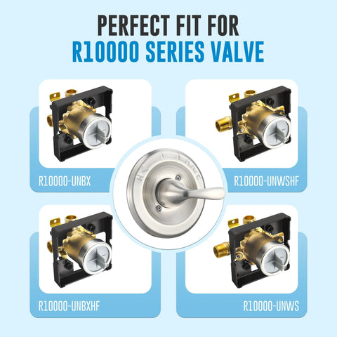 Delta 13 Series Trim Kit Replacement for R10000 Valve compatibility display
