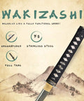 Unsharpened Stainless Steel Wakizashi Iaito For Iaido Training 21 Inch Practice Sword with details of full tang handle