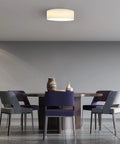 Dining room with Drum LED Ceiling Light With White Fabric Drum Shade 15.75 Inch Flush Mount Remote Control With 9 Dimming