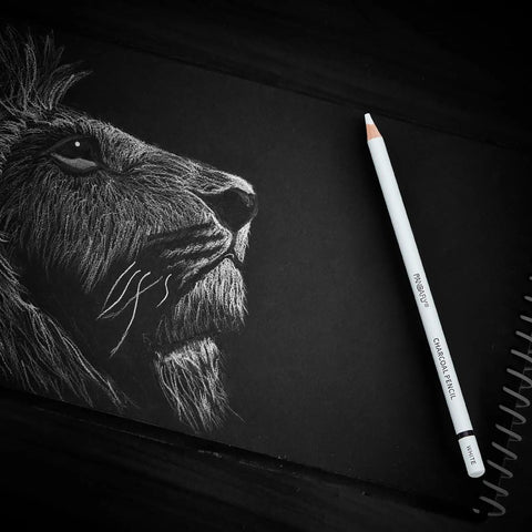 14 Piece White Charcoal Pencil Set For Drawing And Sketching, Pro Grade White Chalk Pencils With Art Knife, Erasers, Blending Stumps, Non-Toxic, Smooth Shading And Highlighting For Beginners To Pros, shown with lion sketch on black paper