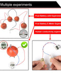 Fruit Battery Science Kit With Electronic Clock And RGB LED For DIY Home Lab And School Projects powering LEDs and clock with tomatoes