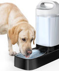 Dog drinking from 2.4 Gallon Stainless Steel Gravity Dog Water Dispenser With Ergonomic Handle Anti Splash Drinking Bowl No Filter