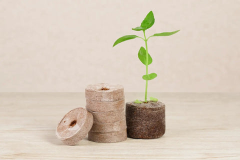 Coconut Coir Seed Starter Kit with 50 Jumbo 42mm Pellets Peat Free Indoor Greenhouse Seed Starter Tray and Humidity Dome, seedling growth