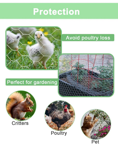 Heavy Duty Hot Dipped Galvanized Chicken Wire Mesh Roll Built Like A Tank For Yard Security protecting chickens and garden plants.