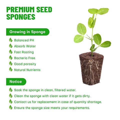 100 Pack Grow Sponges For Seed Starters Replacement Root Growth Sponges Pods Seed Starter Plugs For Hydroponic Indoor Garden Setup Dry Size About 1 In Top 0.7 In Bottom 1.5 In Height Soaked Size About 1.1 In Top Compatible With Similar Setups with plant and care instructions