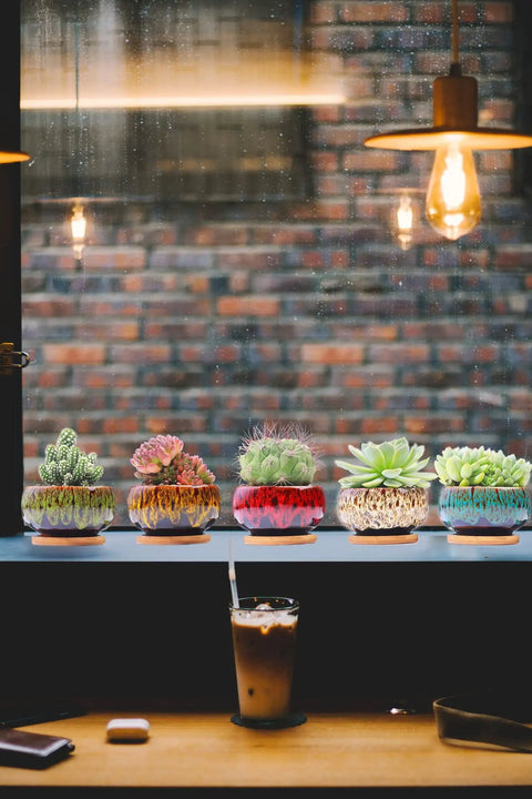Five Pack Cute Ceramic Succulent Planters With Drainage And Attached Saucers, Round 4x2 Inches, Perfect Desk Or Windowsill Garden Decor