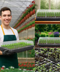 Man holding Five Pack 1020 Seed Starter Trays With 3 Point 6 Inch Humidity Dome Germination Kit in greenhouse with plants