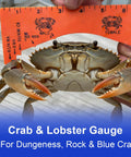 Two Pack Crab Gauge Tool Waterproof Plastic Measuring Device For Dungeness Blue Crab Rock Crab And Lobster Perfect For Fishing Crabbing And Outdoor Use Easy To Read with crab