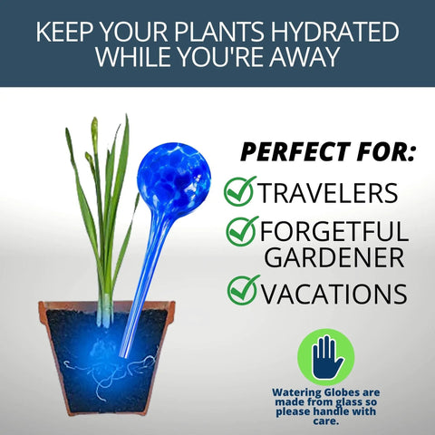 Glass Plant Watering Globes Set 2 Large 3 Small Self Watering Bulbs Spikes Easy Planter Insertion Indoor Outdoor Use Includes Free Soil Moisture Meter pH Meter Healthy No Fuss Plant Care, blue globe in potted plant