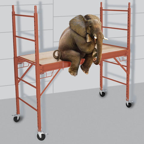 Elephant sitting on scaffolding with five inch scaffolding wheels set of four with dual locking brakes and square stem.
