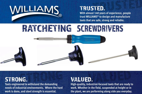 Magnetic Multi Bit Ratcheting Screwdriver 9 Inch With 5 Bits Slotted 2 Phillips 1 Phillips 2 And Torx T15 4 Inch Blade