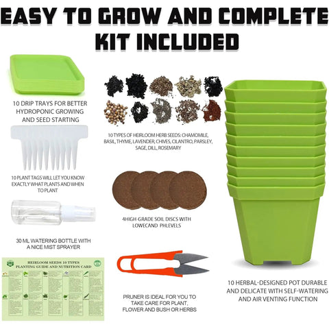 10 Herb Seeds Garden Starter Kit with green pots, markers, soil discs, watering bottle, mini pruner, and growing guide.