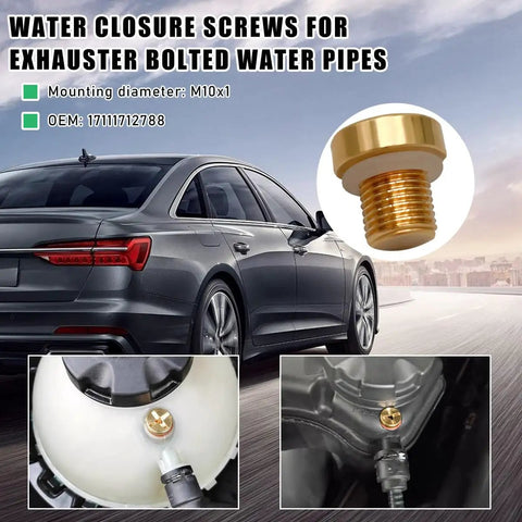 Heavy Duty Radiator Coolant Expansion Tank Bleeder Screw With Rubber O Ring for BMW X3 X5 Z4 325i 528i close-up with vehicle background.