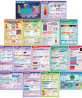 Chemistry Posters Pack For Middle School And High School Students 15 Laminated Wall Charts Extra Large 33 By 23.5 Inches