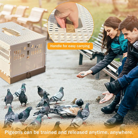 Folding Bird Cage For Pigeons And Small Pets Portable Travel Training Cage with handle, pigeons feeding in park setting