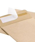 Brown Seed Packets 4.5 By 3.25 Inches 100 Pack Blank Envelopes For Seeds, Coins, Keys And Tiny Parts with self-adhesive seal