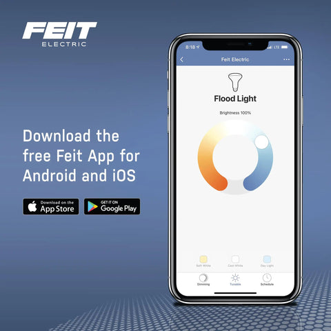 Smart Filament Globe Light Bulb 60W Equivalent WiFi Dimmable with Alexa and Google Assistant app interface on smartphone