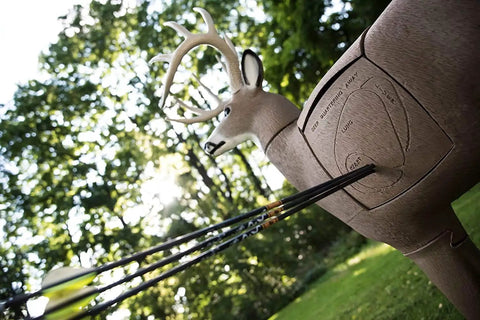 Replacement Buck Target Core With Four Realistic Angles quartering away with arrows, Polyfusion layers for durable target practice
