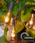 Outdoor String Lights 20Ft With 22 Edison Bulbs E17 Base Vintage Warm White creating ambiance among lush leaves