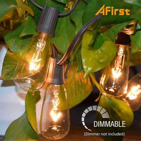 Outdoor String Lights 20Ft With 22 Edison Bulbs E17 Base Vintage Warm White creating ambiance among lush leaves