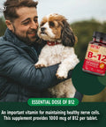 High Potency Vegan B12 Tablets With Folic Acid and B6 For Steady Energy And Brain Boost Fast Dissolving Tabs To Help You Power Through Your Daily Grind And Slam Fatigue Shut 90 Count with a man and dog