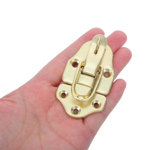 Rock Solid 6-Piece Golden Toolbox Hasp Latch Set featuring a golden duckbilled latch held in hand for gear storage.