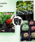 120 Pcs Small Square Plastic Nursery Pots 4 Inch Seedling Plant Pots With Drainage Holes Reusable Grow Containers For Succulent Propagation Flowers And Bulk Seed Starting Kits Ready To Grow. Various uses for seedlings and succulents visible with an assortment of plants in plastic pots.
