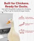 Heavy Duty Galvanized Trough Chicken Feeder Gravity Fed 10 Lbs Capacity With Removable Rain Hood For Weather Resistant Outdoor Coop And Farm Poultry Setup Built Tough To Go The Distance with white duck and grate visible.