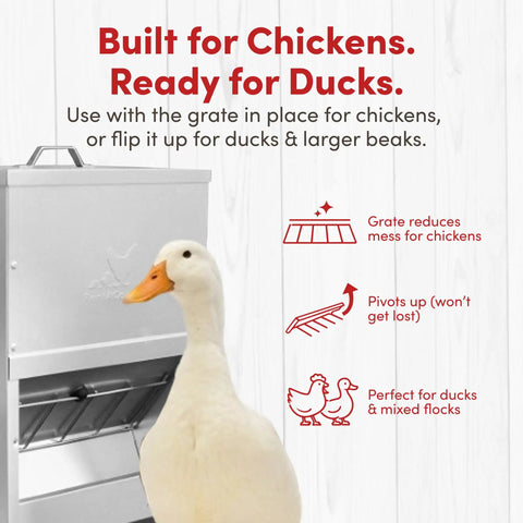 Heavy Duty Galvanized Trough Chicken Feeder Gravity Fed 10 Lbs Capacity With Removable Rain Hood For Weather Resistant Outdoor Coop And Farm Poultry Setup Built Tough To Go The Distance with white duck and grate visible.