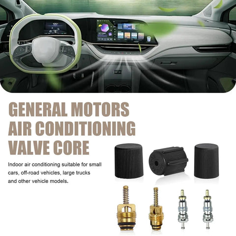 Seven Piece Car AC Valve Core Kit With Caps And Anti Leak Cores For Most Cars Includes R12 cores and caps in front of car interior