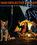 Image of a camping scene featuring a dog attached to a Glow In The Dark Reflective Dog Run Cable 75 Foot Rugged Heavy Duty Zipline